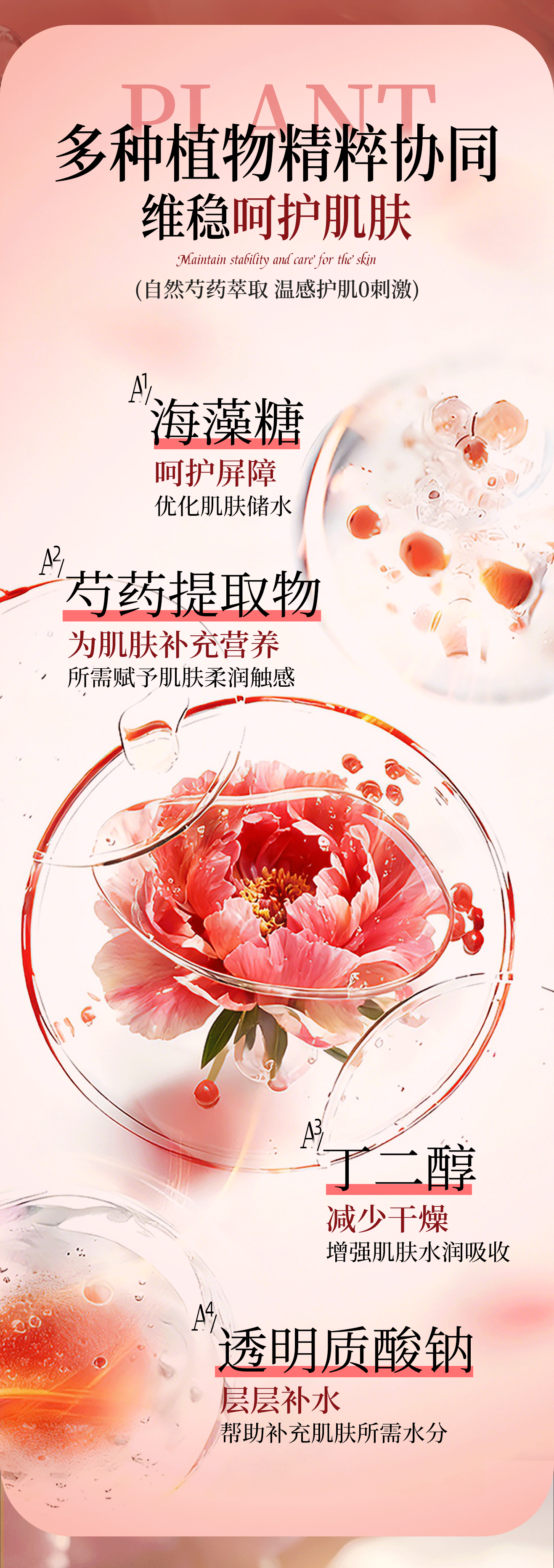芍药1_07.gif